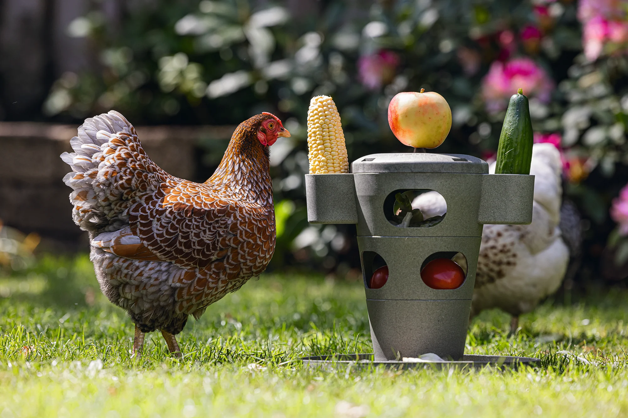 Chicken Feed Tower - Image 3