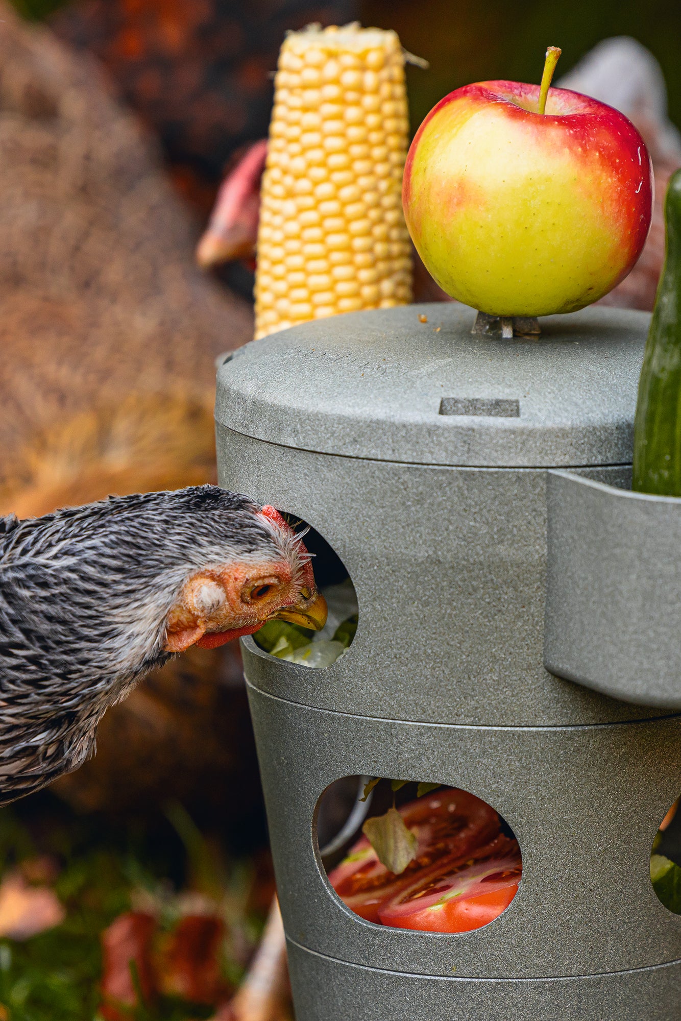 Chicken Feed Tower - Image 4