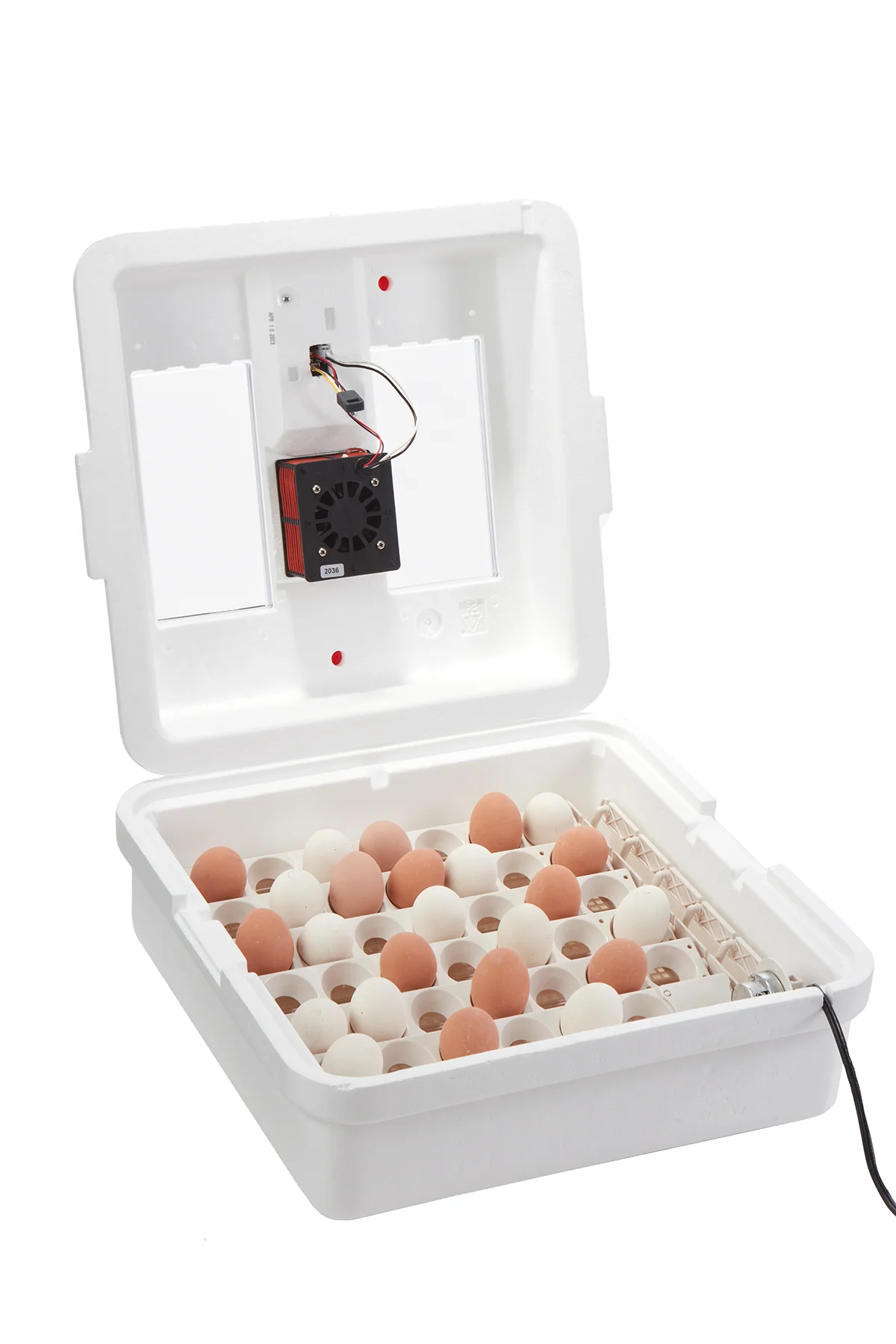 Digital Egg Incubators - Image 4