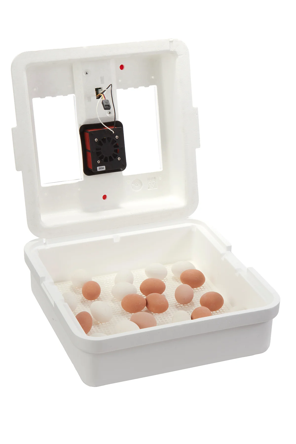 Digital Egg Incubators - Image 5