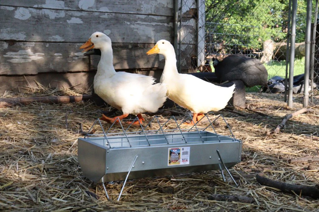 Duck Feeders - Galvanized Steel - Image 6