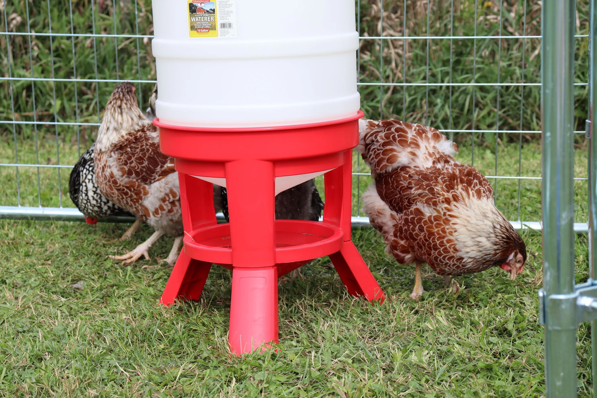 Plastic Dome Waterer - Image 5