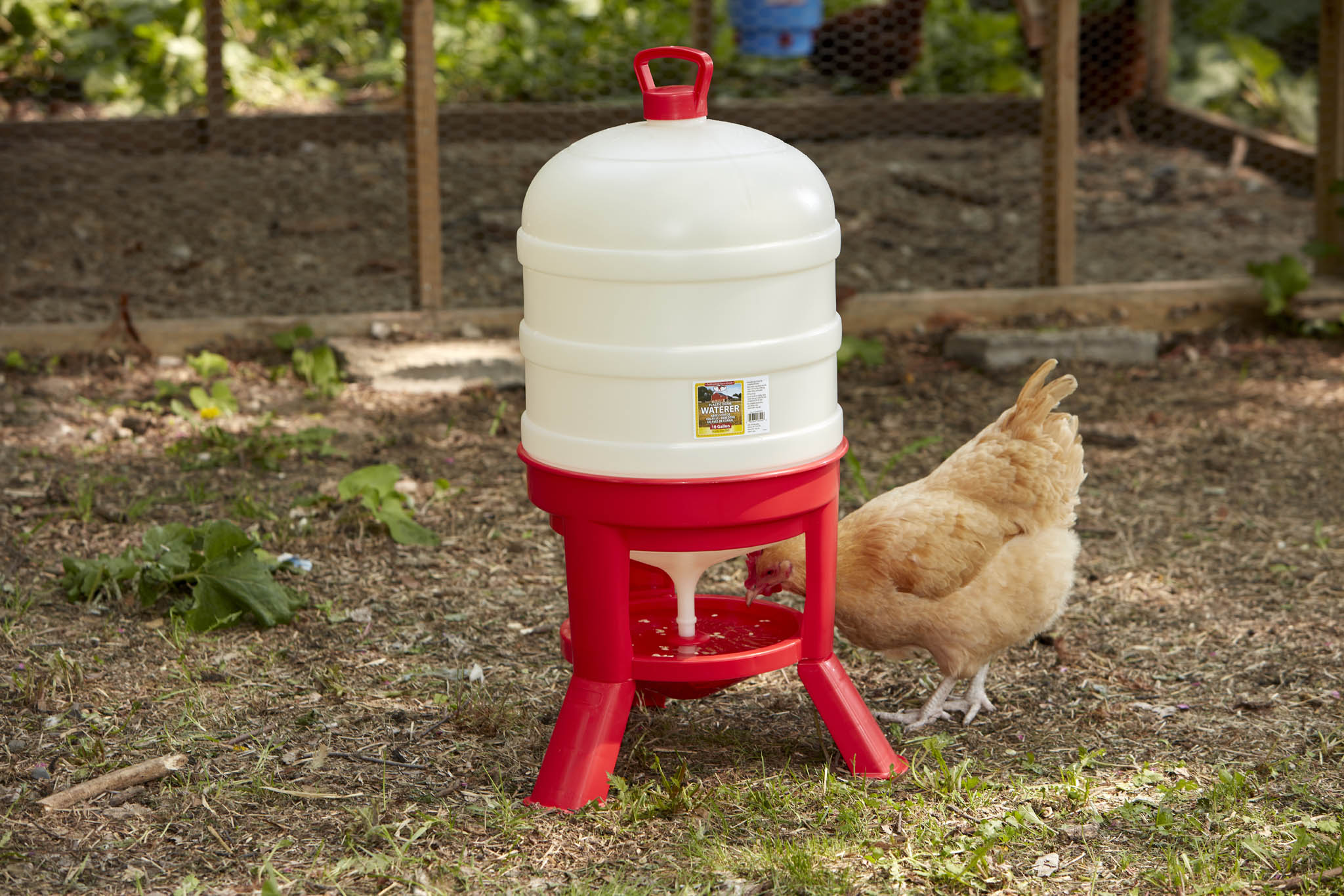 Plastic Dome Waterer - Image 6