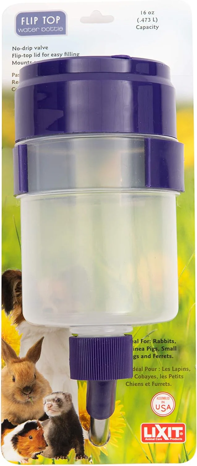 Quick Lock Flip Top Water Bottle with Valve