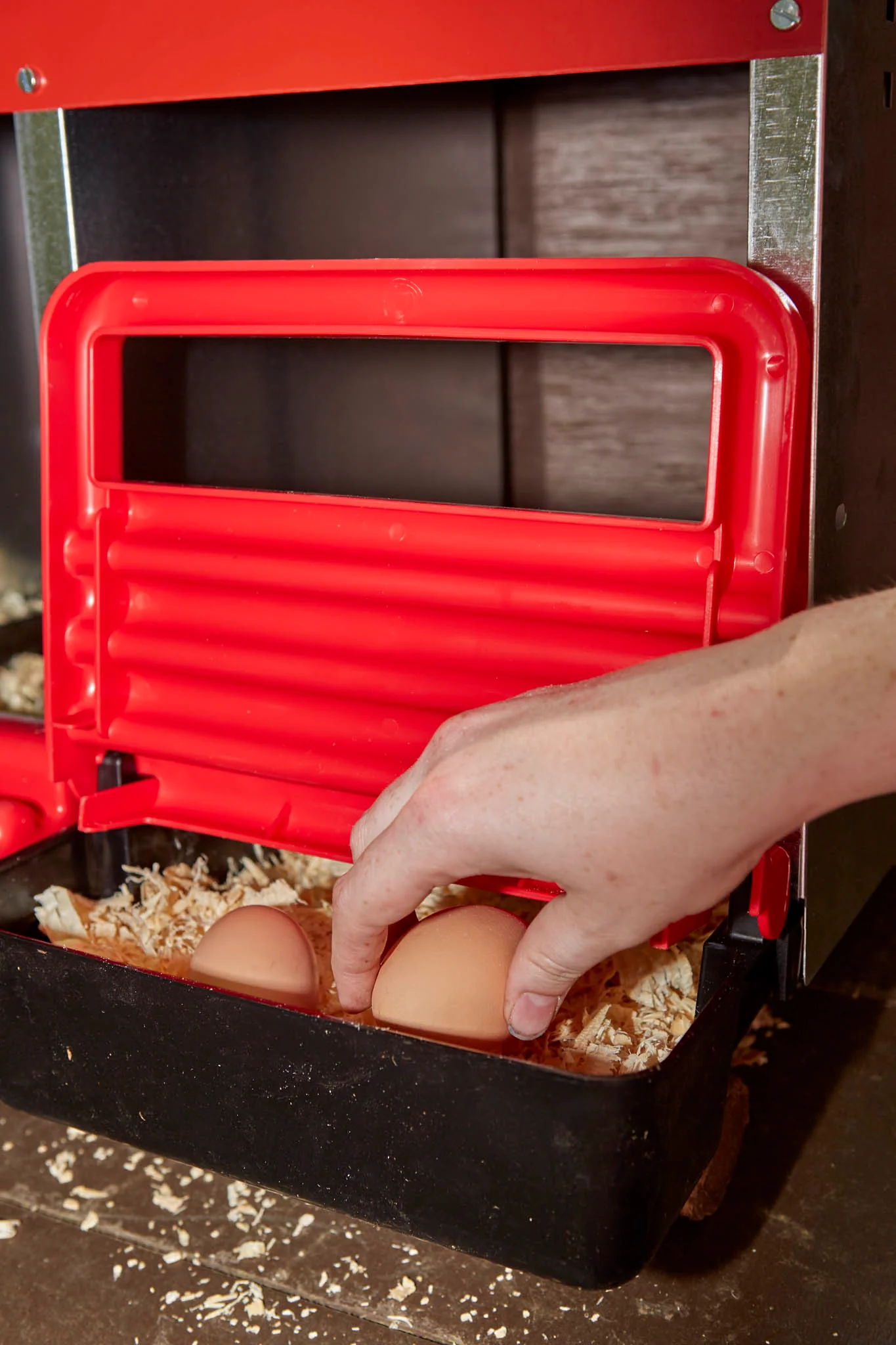 Galvanized Nesting Box with Plastic Basket - Image 3