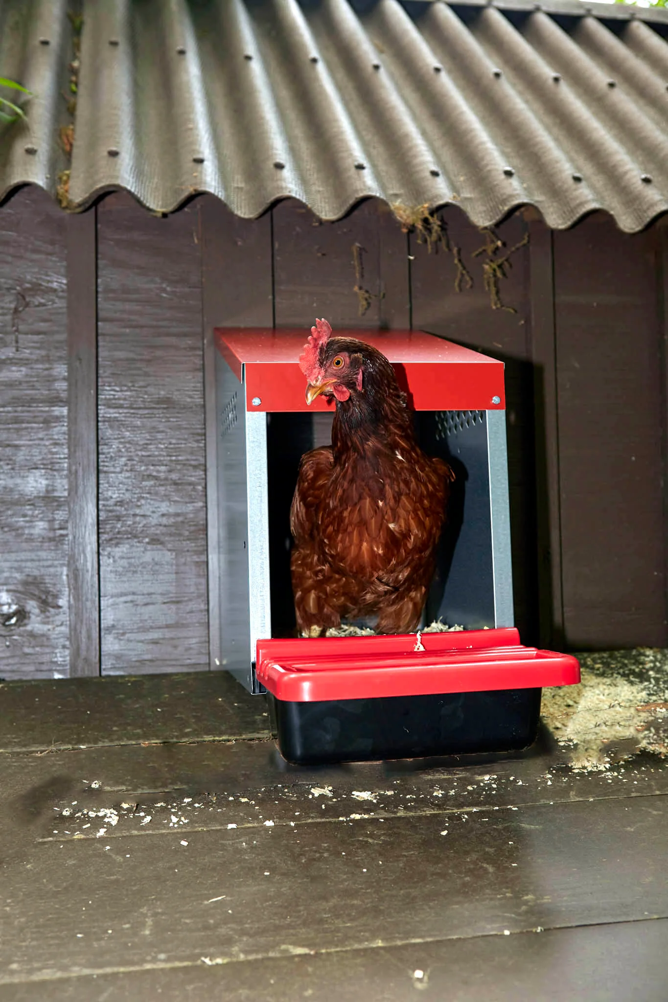 Galvanized Nesting Box with Plastic Basket - Image 4